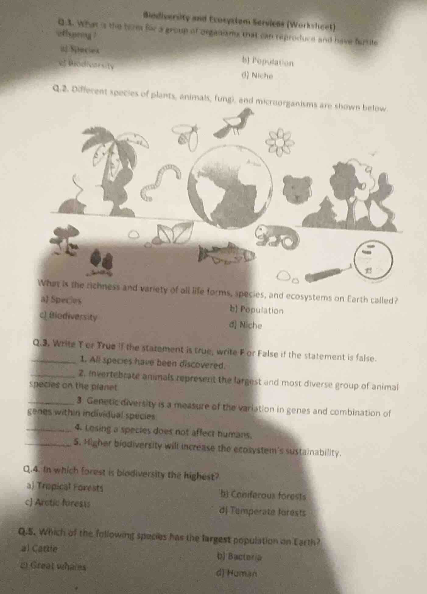 biodiversity and ecosystem services (worksheet) q.1. what is the term f…