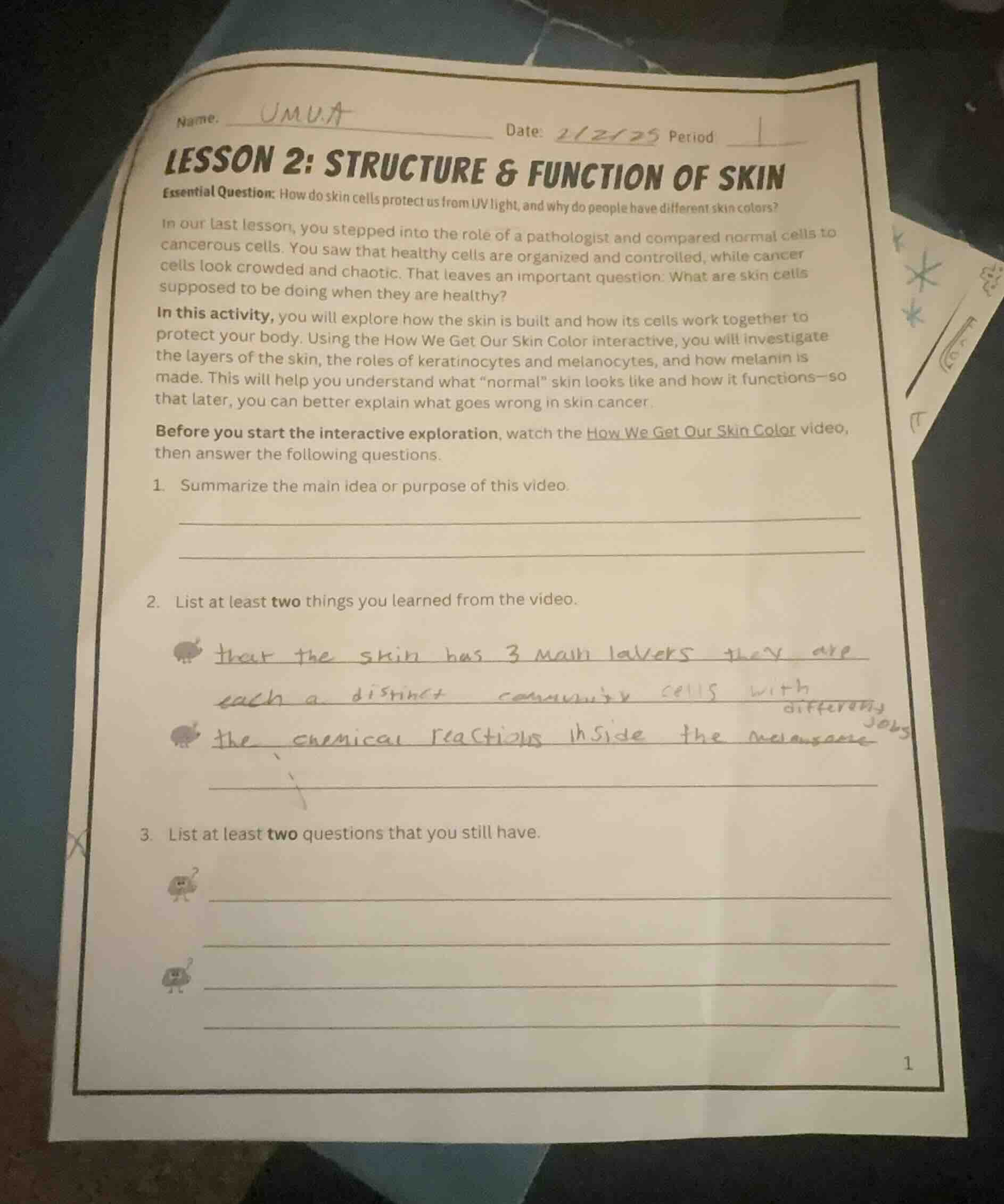 name: umua date: 2/21/25 period 1 lesson 2: structure & function of ski…