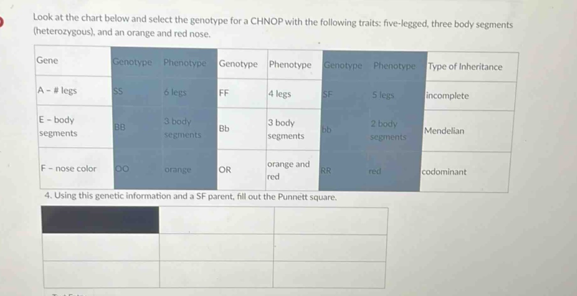 look at the chart below and select the genotype for a chnop with the fo…