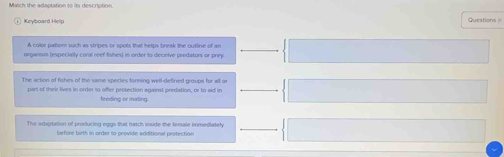 match the adaptation to its description. keyboard help a color pattern …