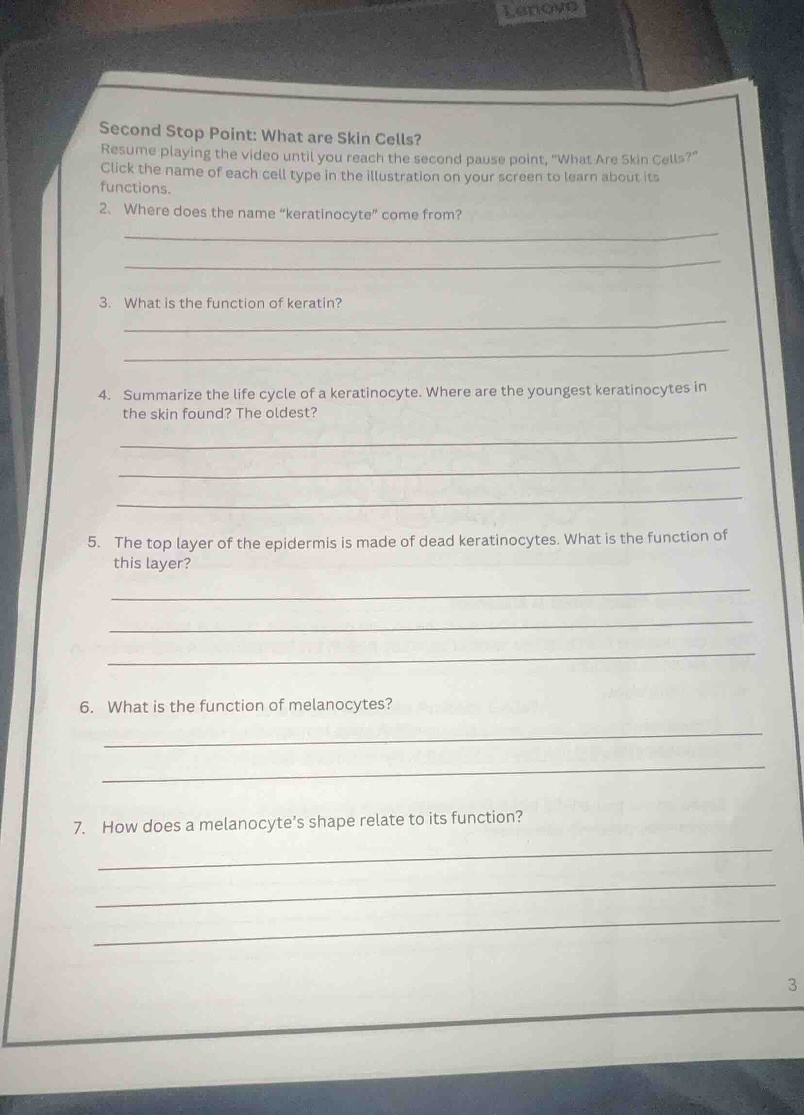 second stop point: what are skin cells? resume playing the video until …