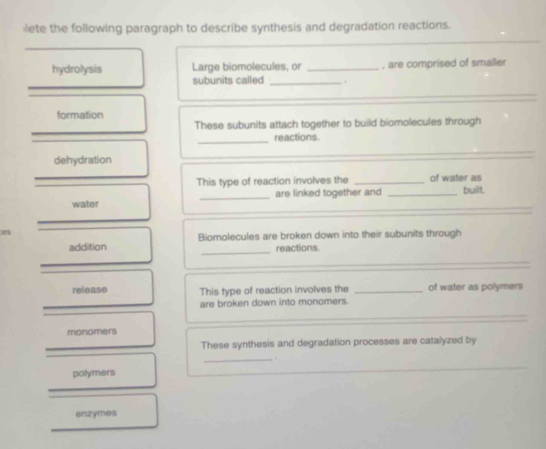 lete the following paragraph to describe synthesis and degradation reac…