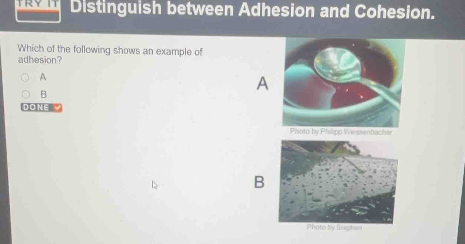 try it distinguish between adhesion and cohesion. which of the followin…