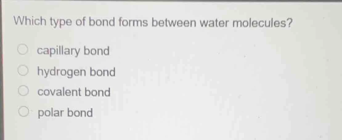 which type of bond forms between water molecules? capillary bond hydrog…
