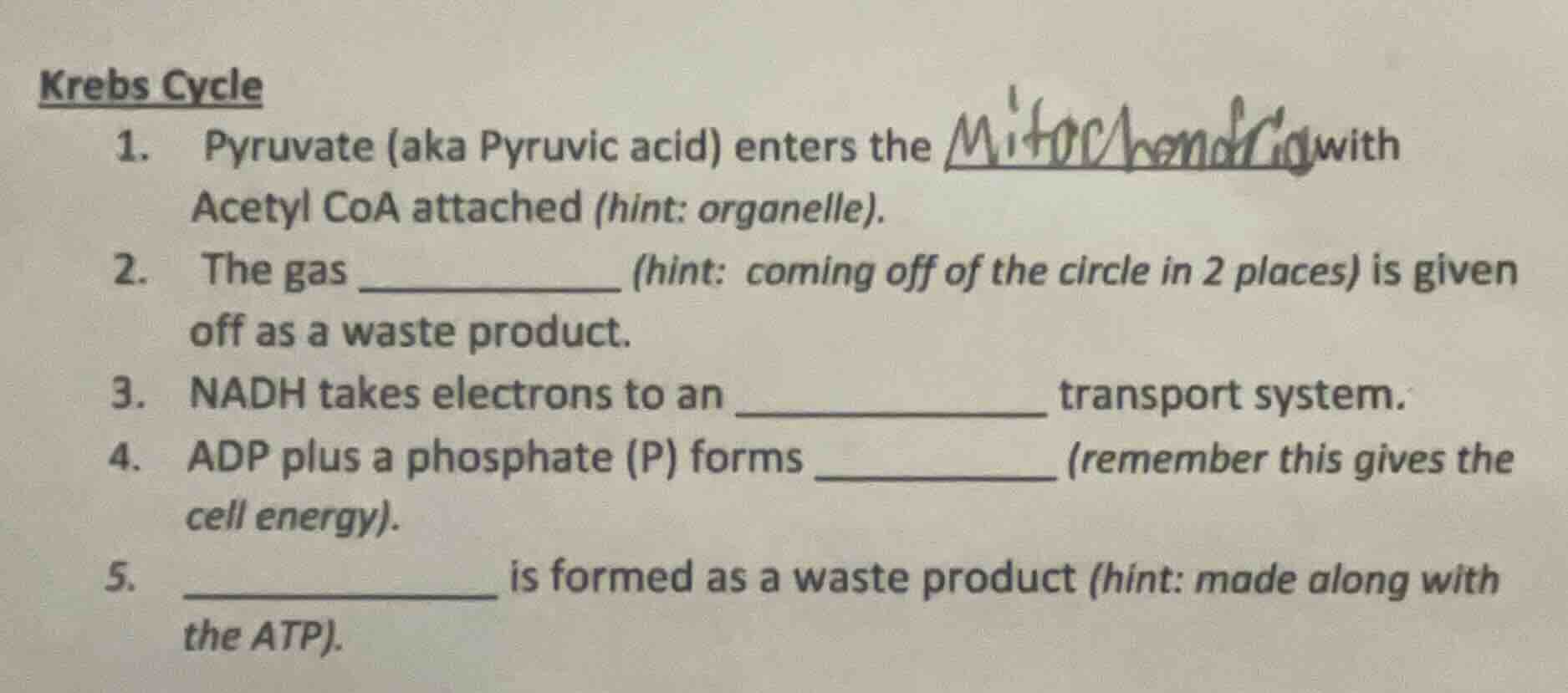 krebs cycle 1. pyruvate (aka pyruvic acid) enters the ______ with acety…