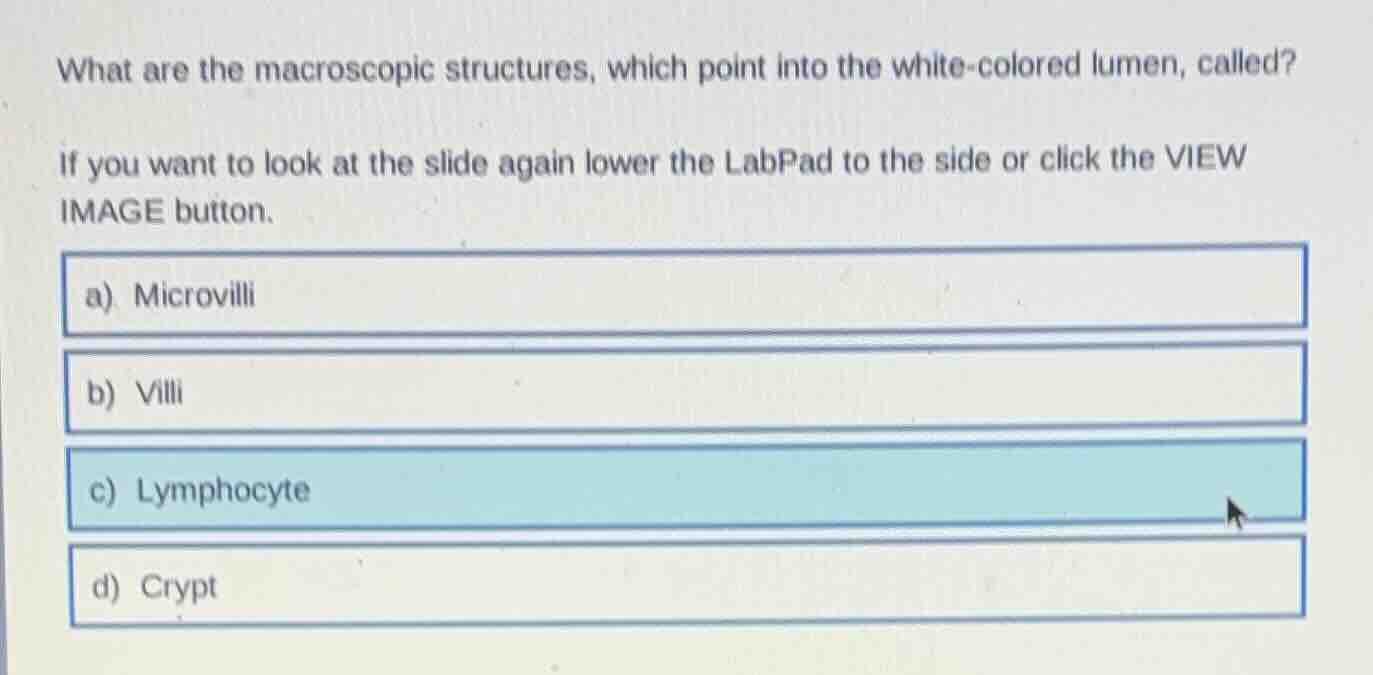 what are the macroscopic structures, which point into the white - color…