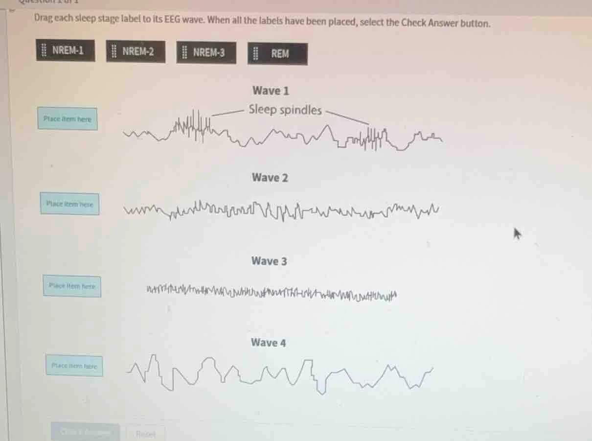drag each sleep stage label to its eeg wave. when all the labels have b…