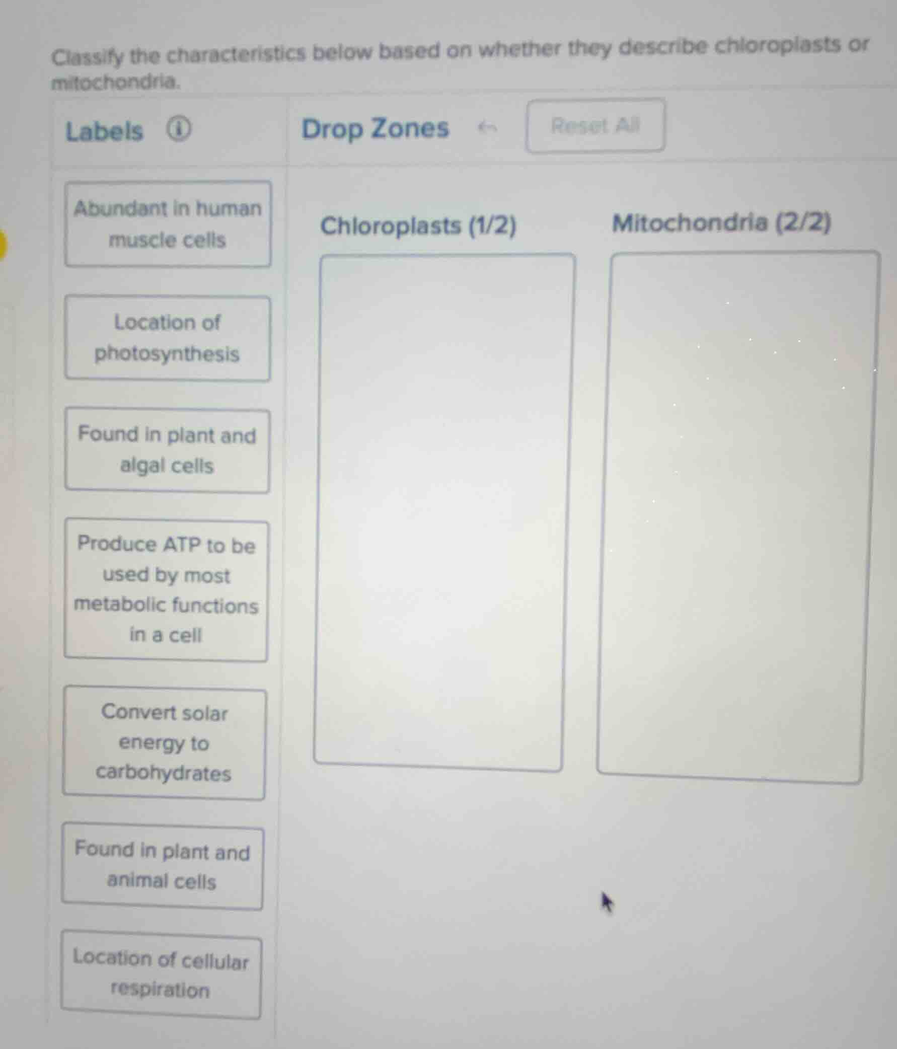 classify the characteristics below based on whether they describe chlor…