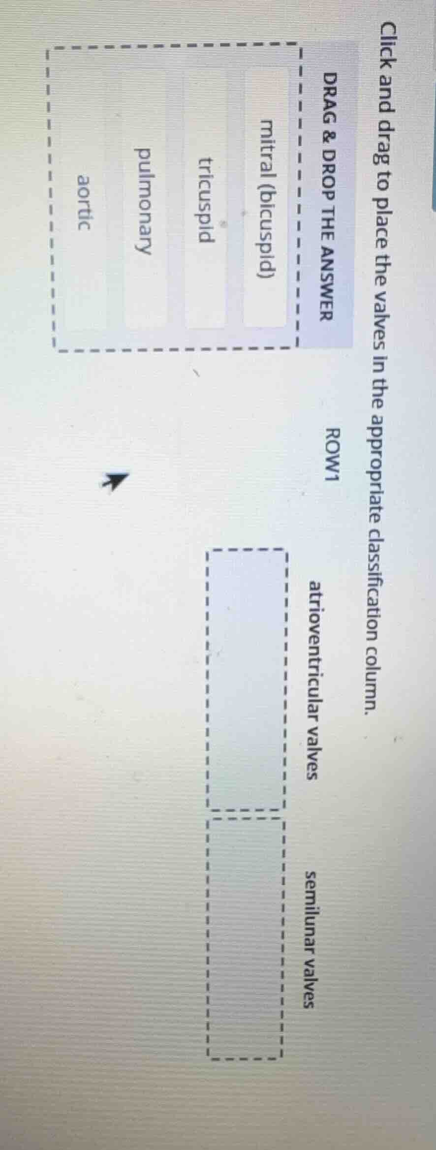 click and drag to place the valves in the appropriate classification co…