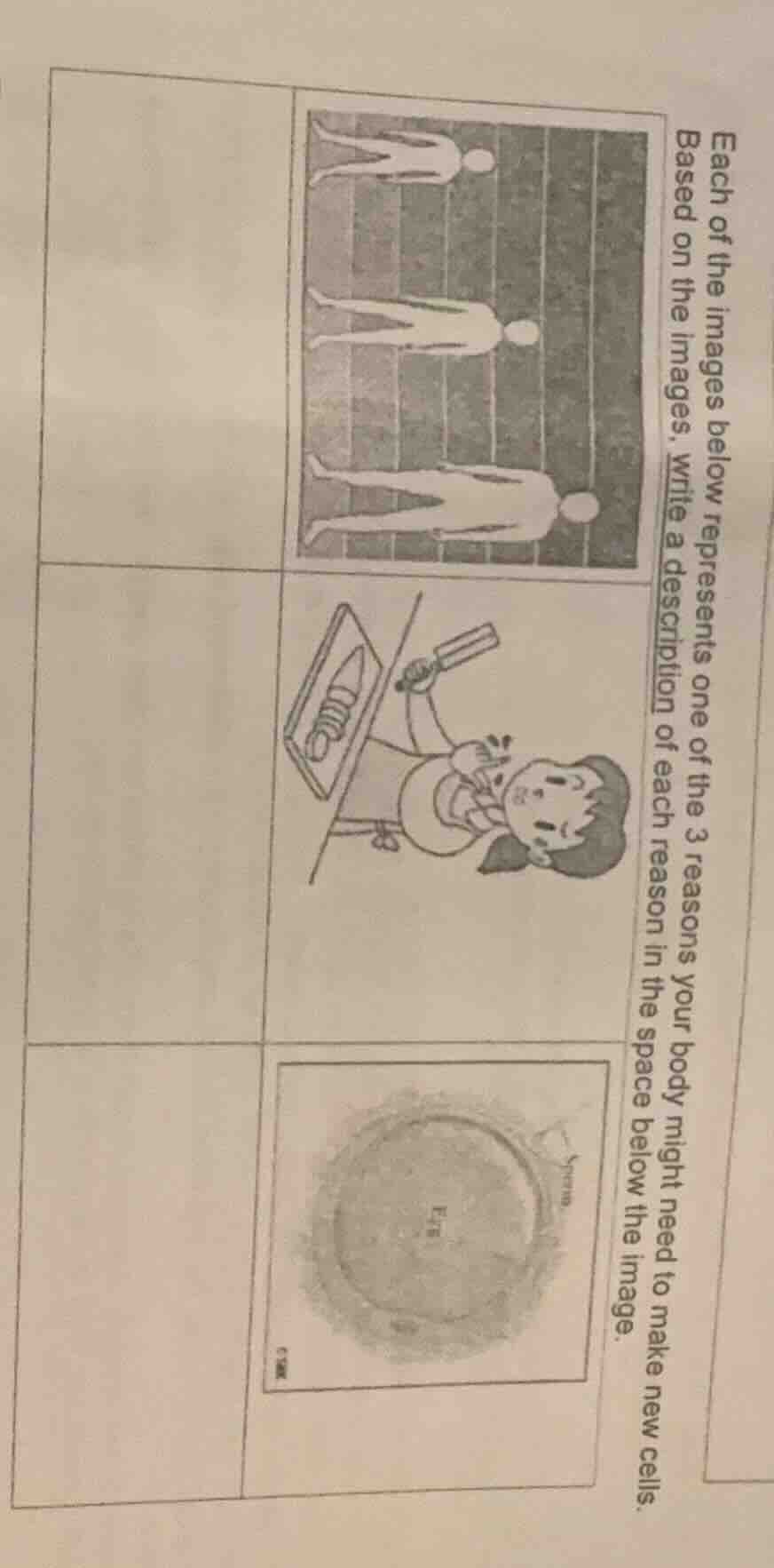 each of the images below represents one of the 3 reasons your body migh…