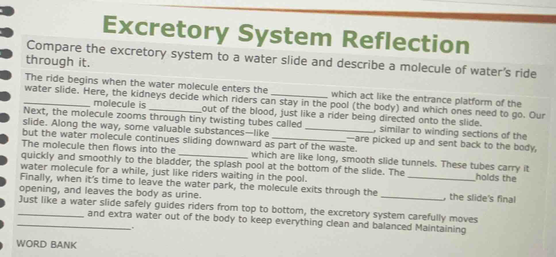 excretory system reflection compare the excretory system to a water sli…