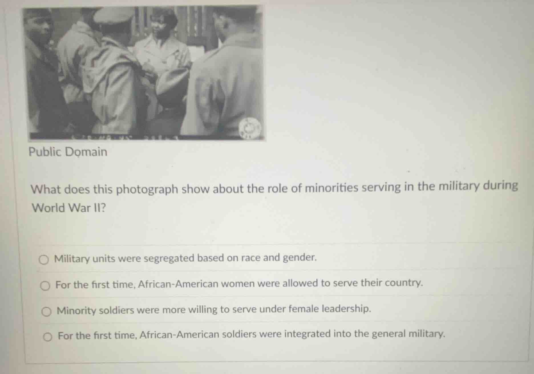 public domain what does this photograph show about the role of minoriti…