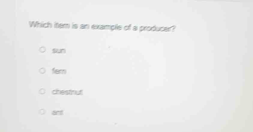 which item is an example of a producer? sun fern chestnut ant