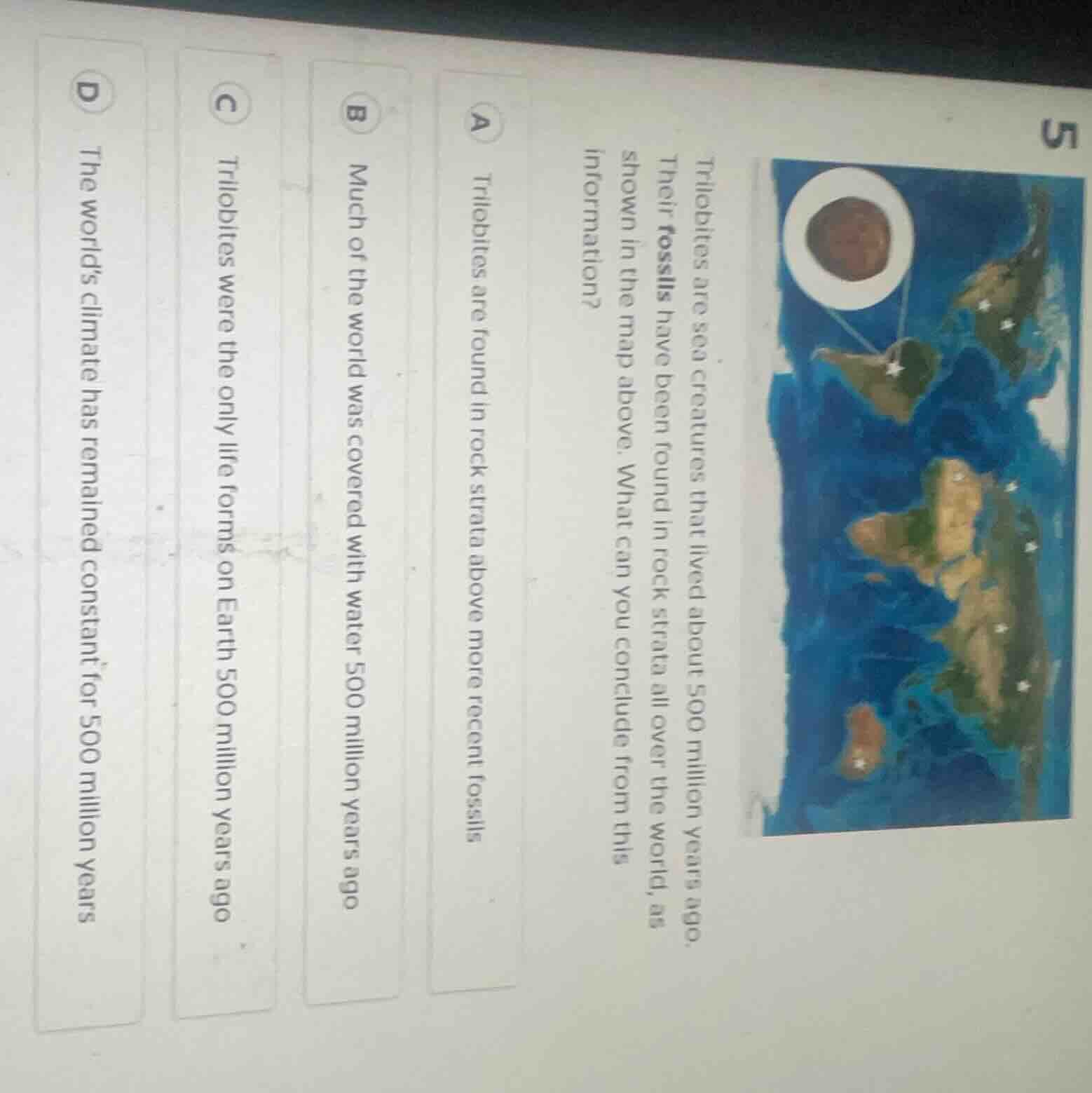 5 trilobites are sea creatures that lived about 500 million years ago. …