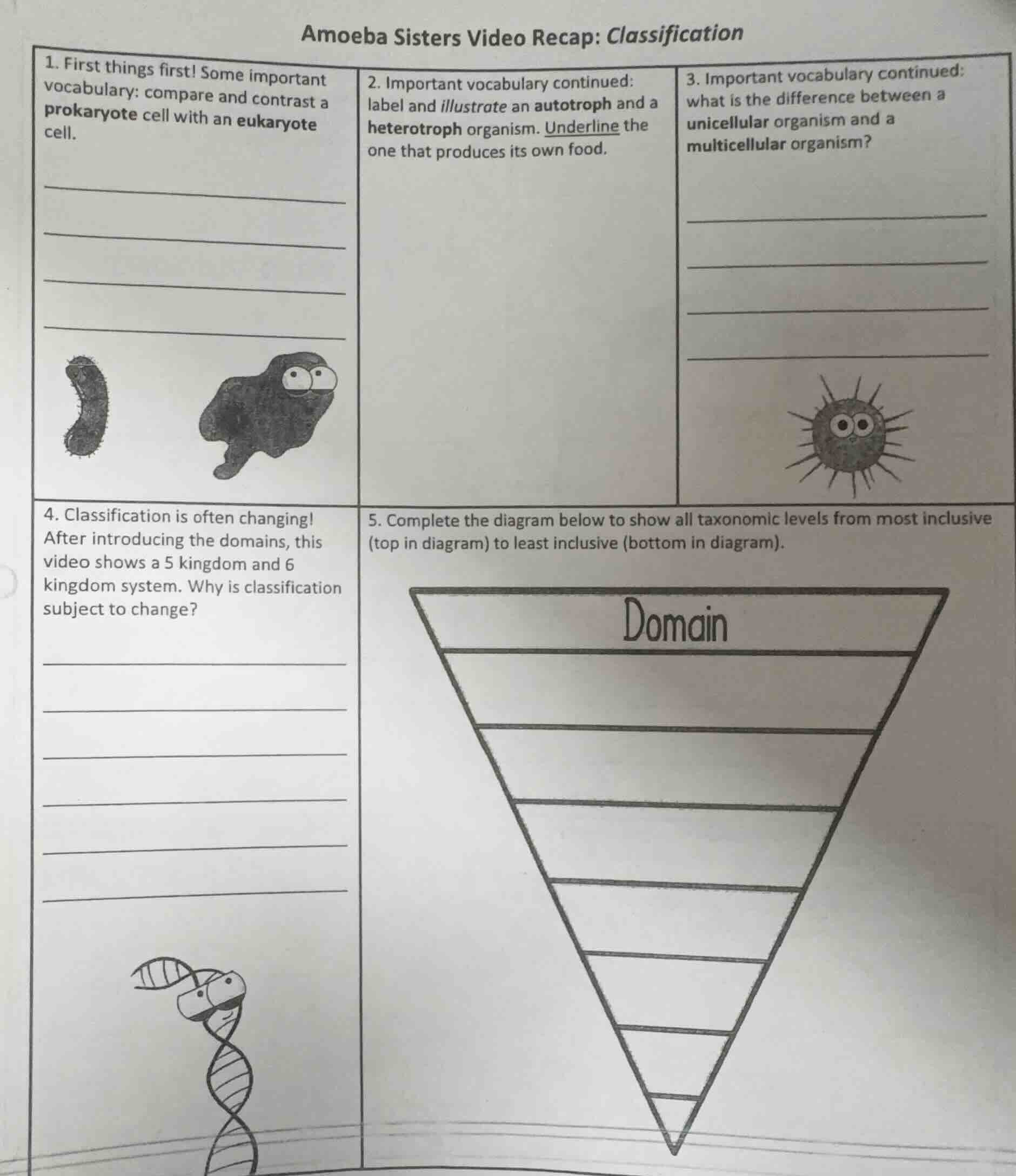amoeba sisters video recap: classification 1. first things first! some …