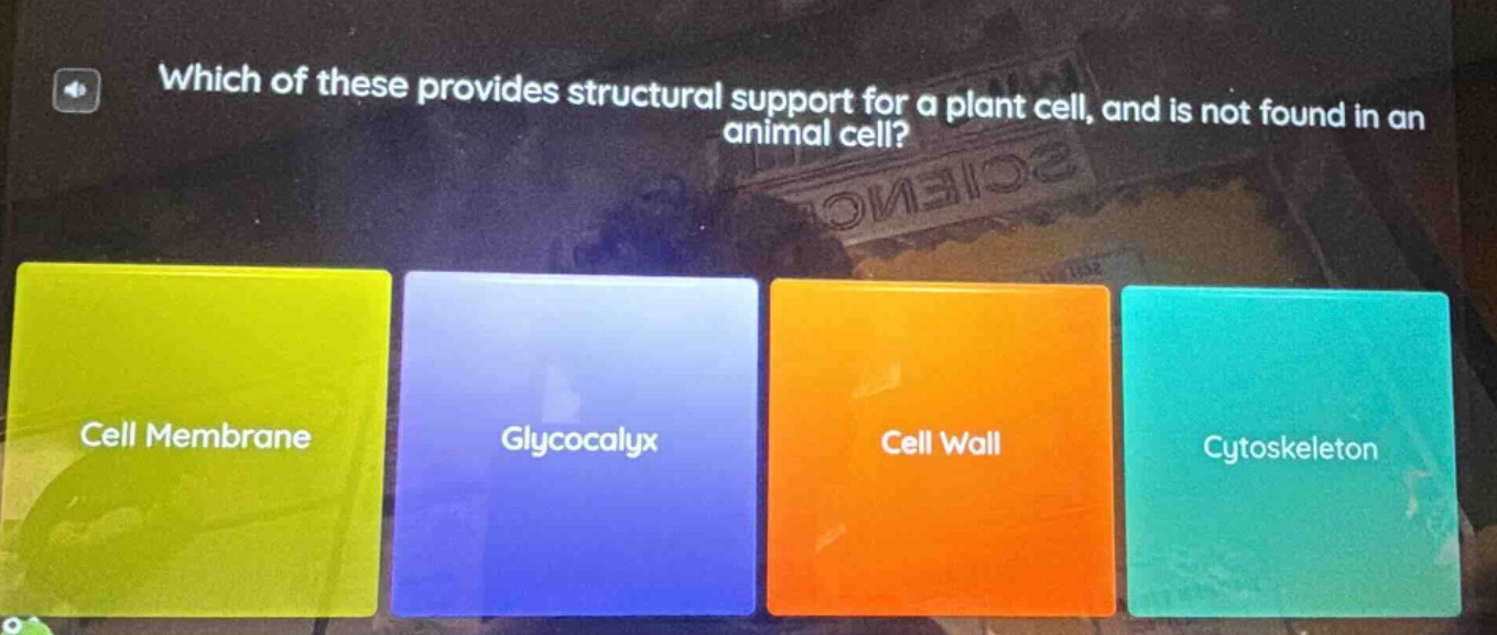 which of these provides structural support for a plant cell, and is not…