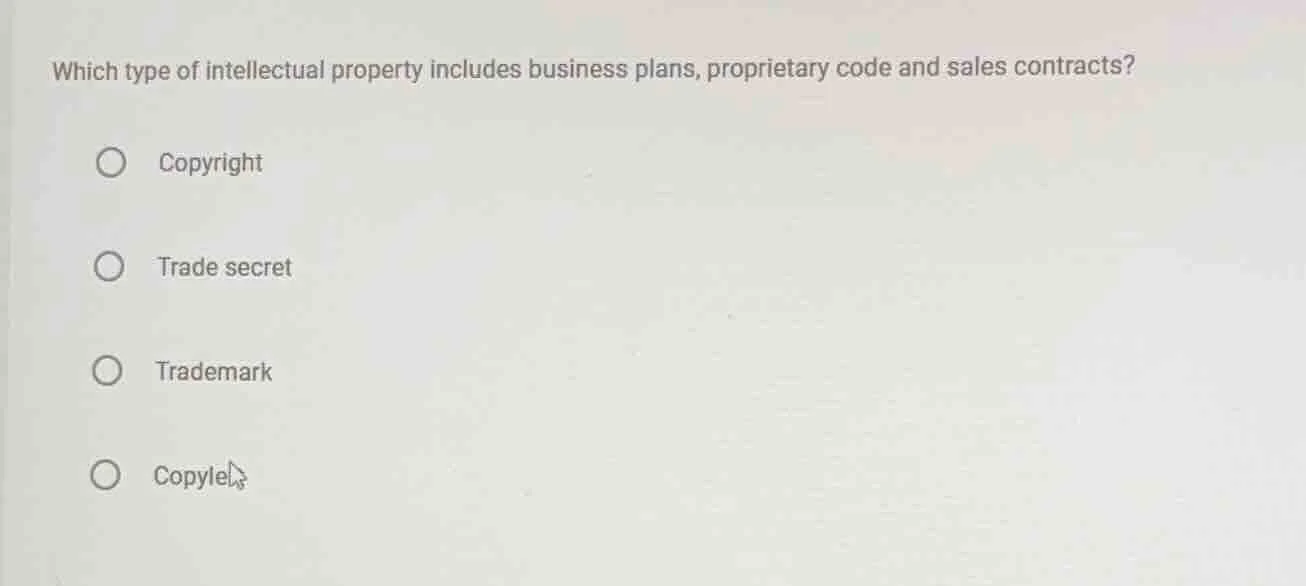 which type of intellectual property includes business plans, proprietar…