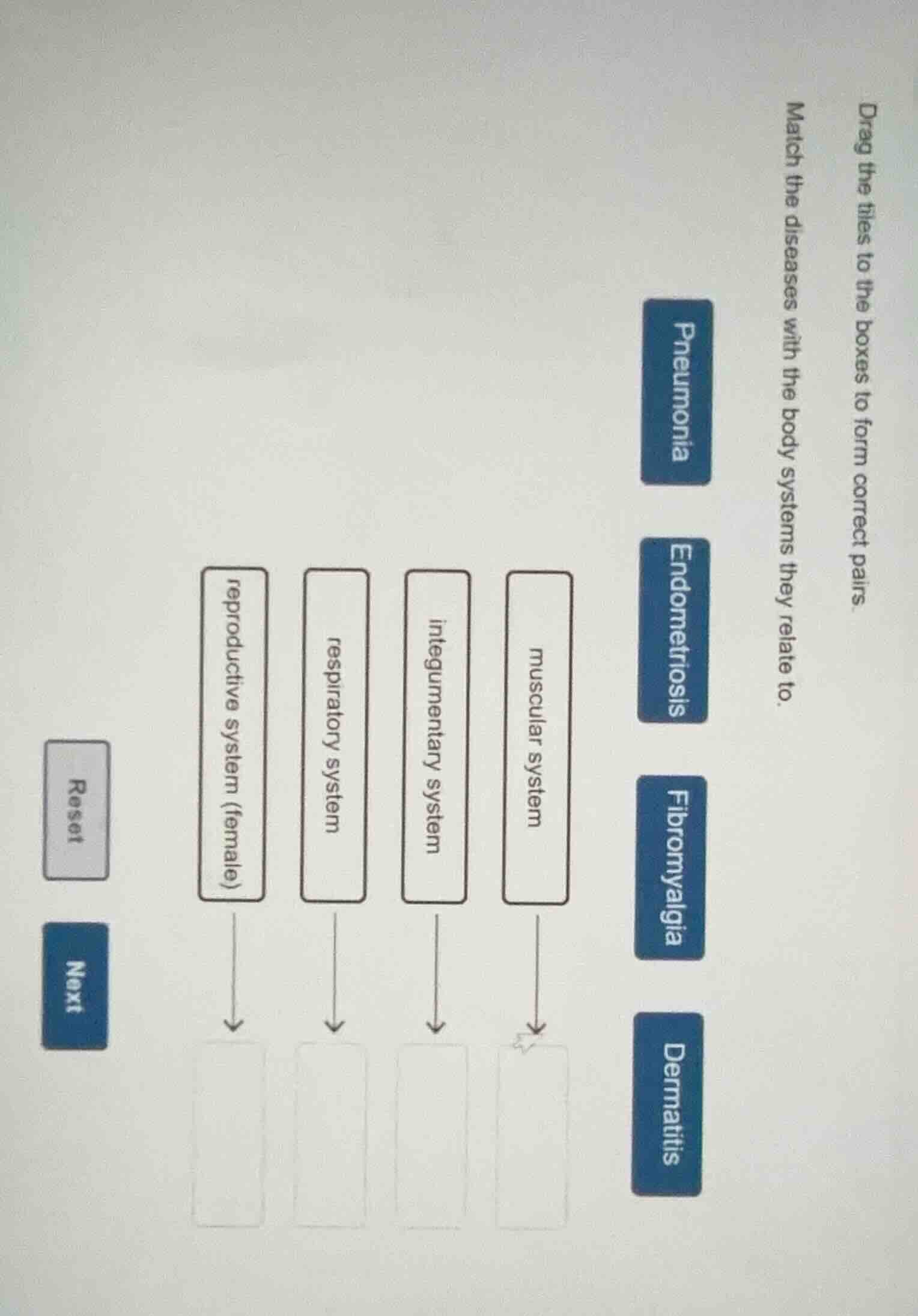drag the tiles to the boxes to form correct pairs. match the diseases w…