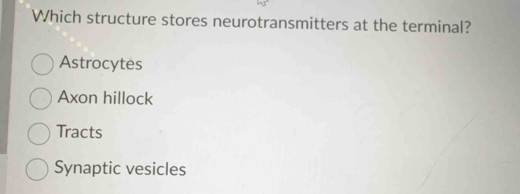 which structure stores neurotransmitters at the terminal? astrocytes ax…