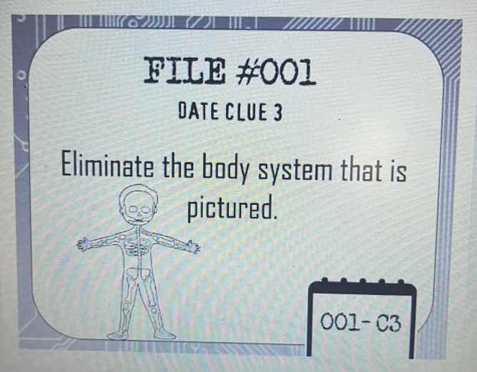 file #001 date clue 3 eliminate the body system that is pictured. 001 -…