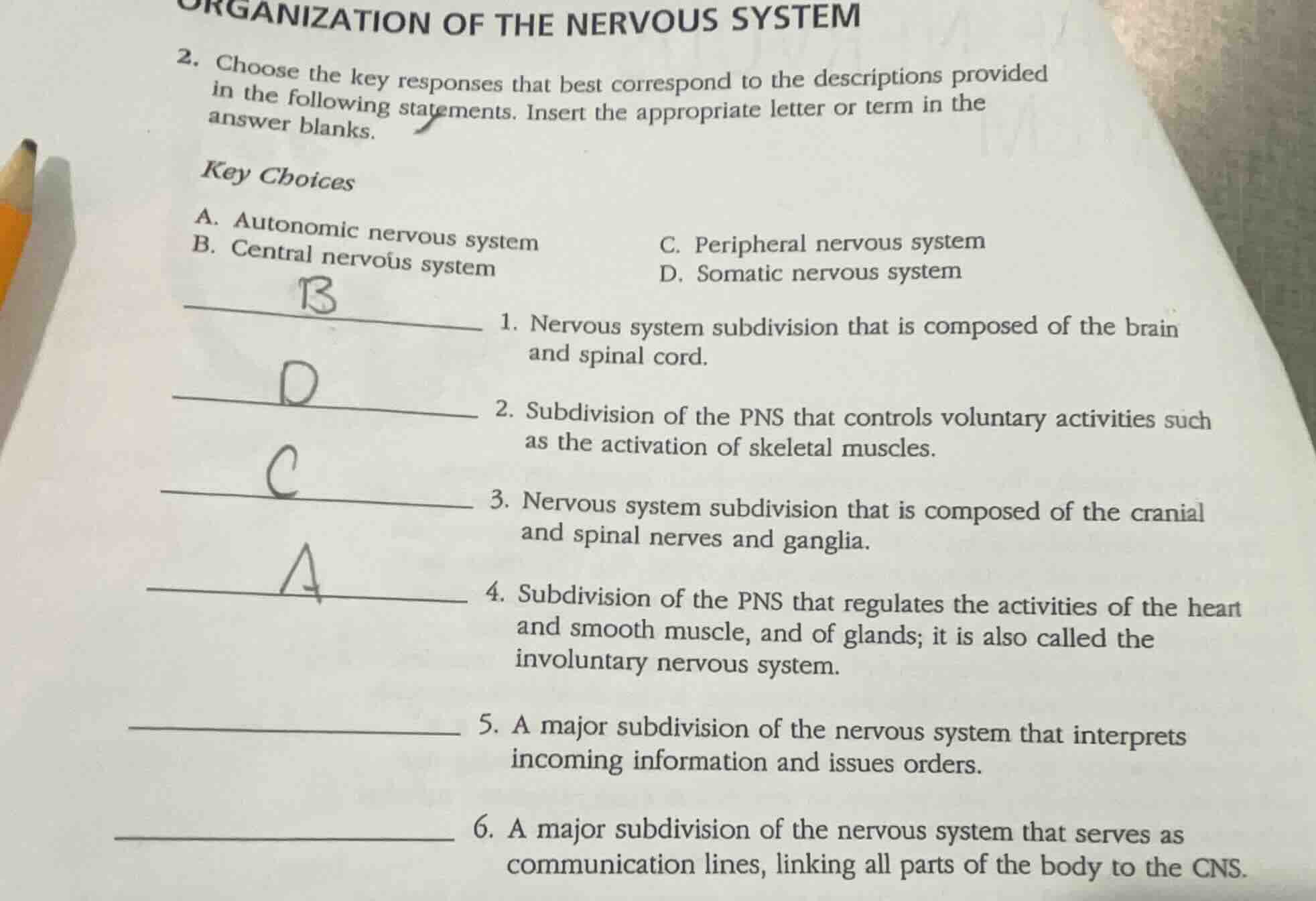 organization of the nervous system 2. choose the key responses that bes…