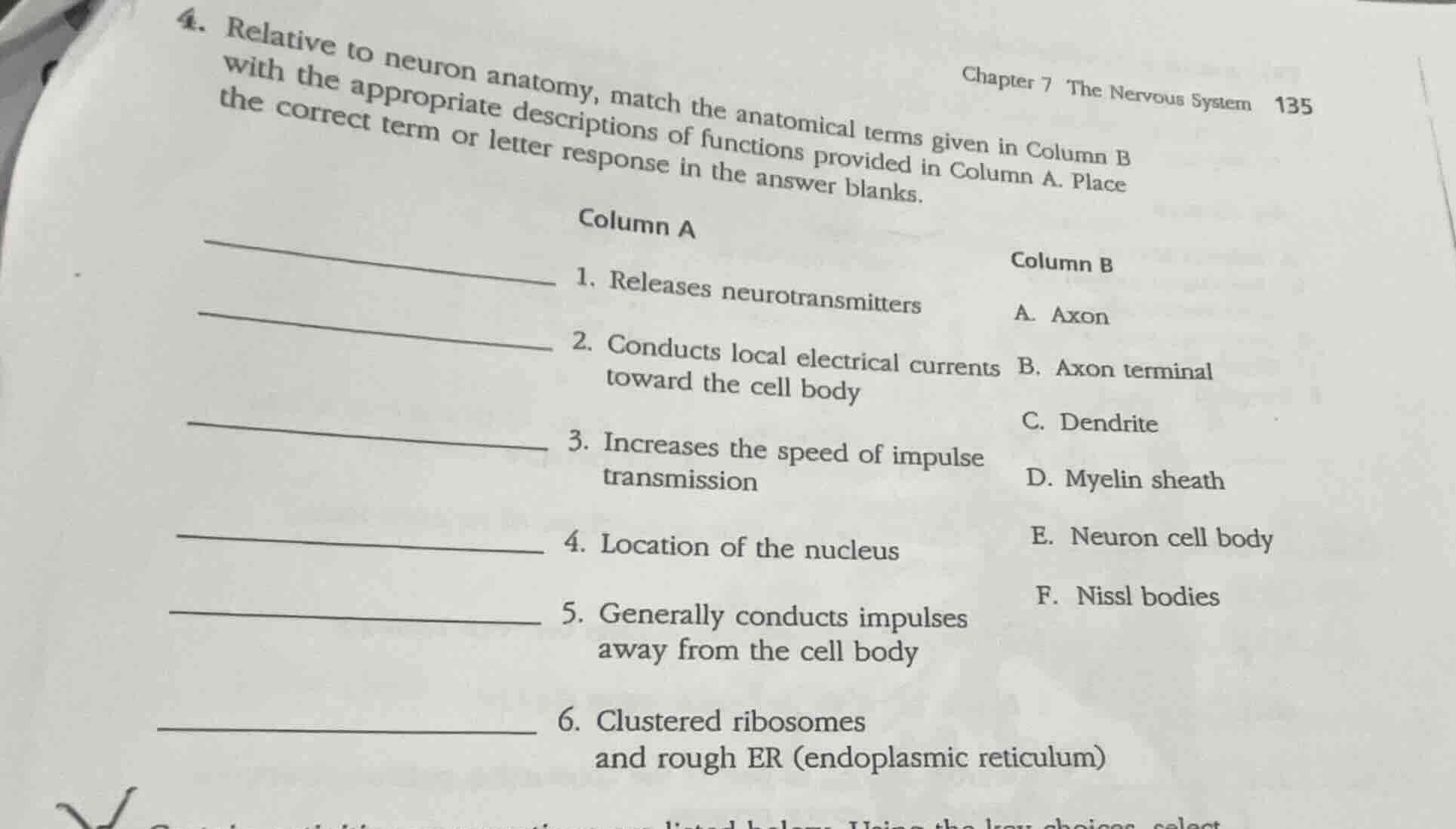 4. relative to neuron anatomy, match the anatomical terms given in colu…