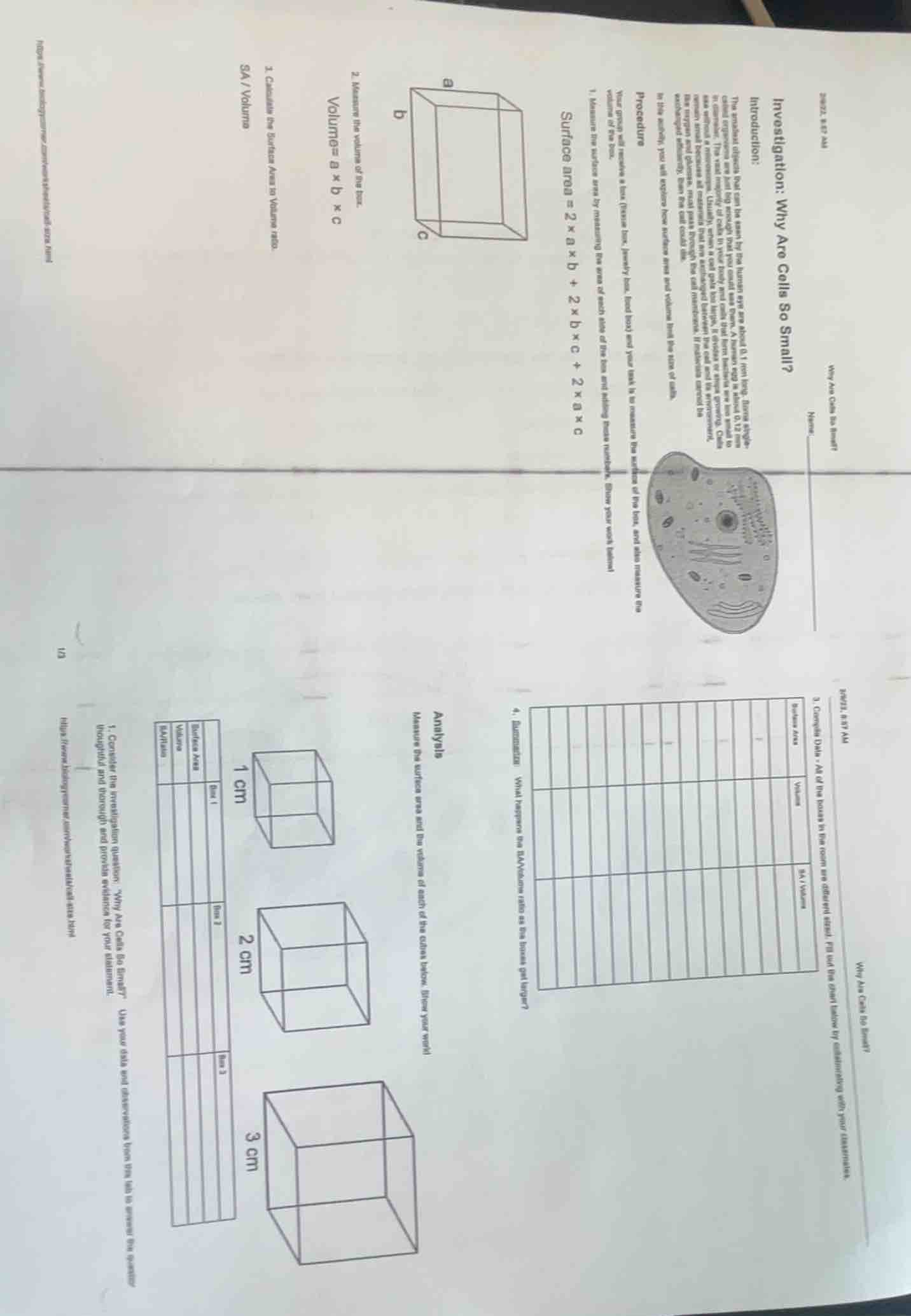 investigation: why are cells so small? introduction: the smallest objec…