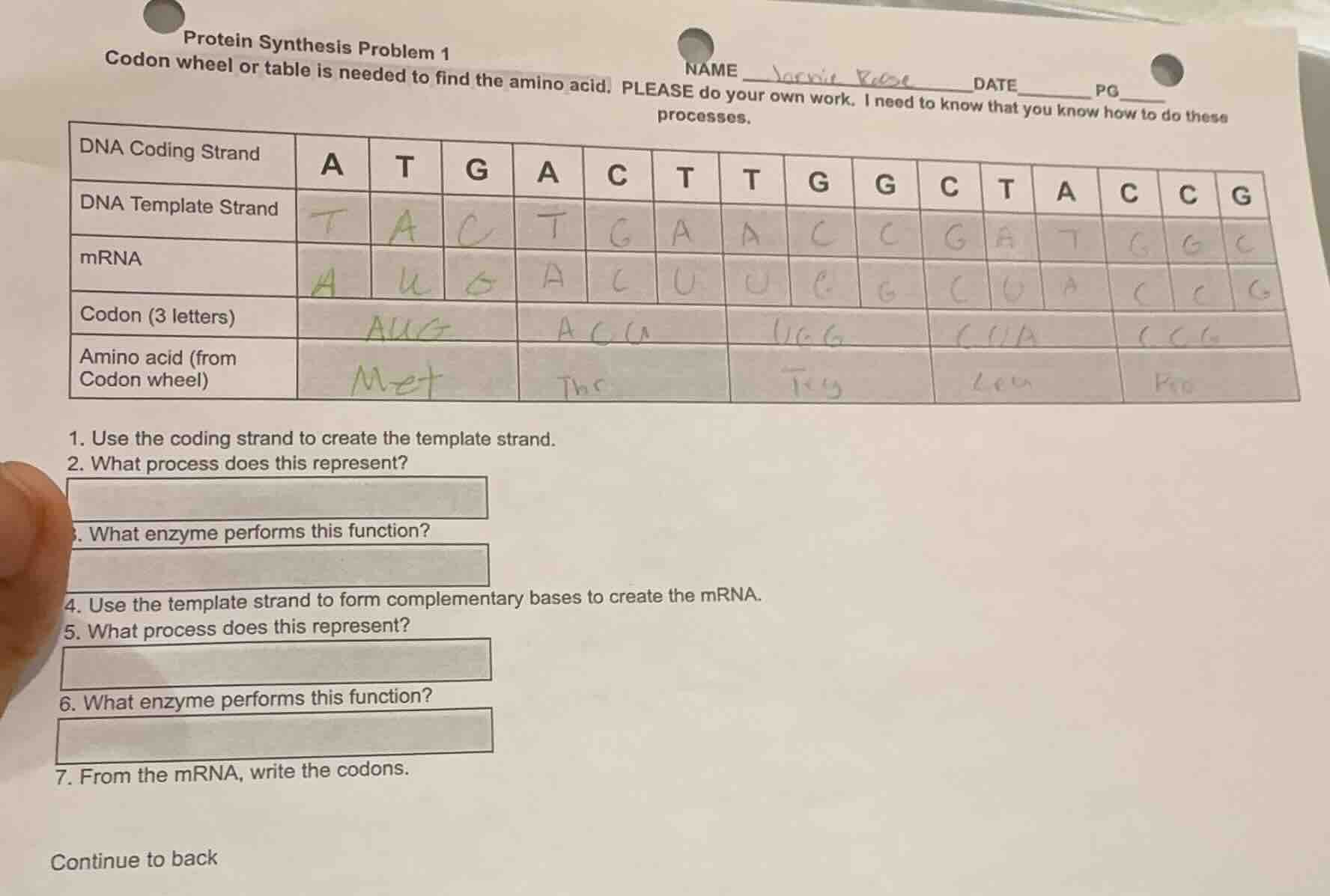 protein synthesis problem 1 codon wheel or table is needed to find the …