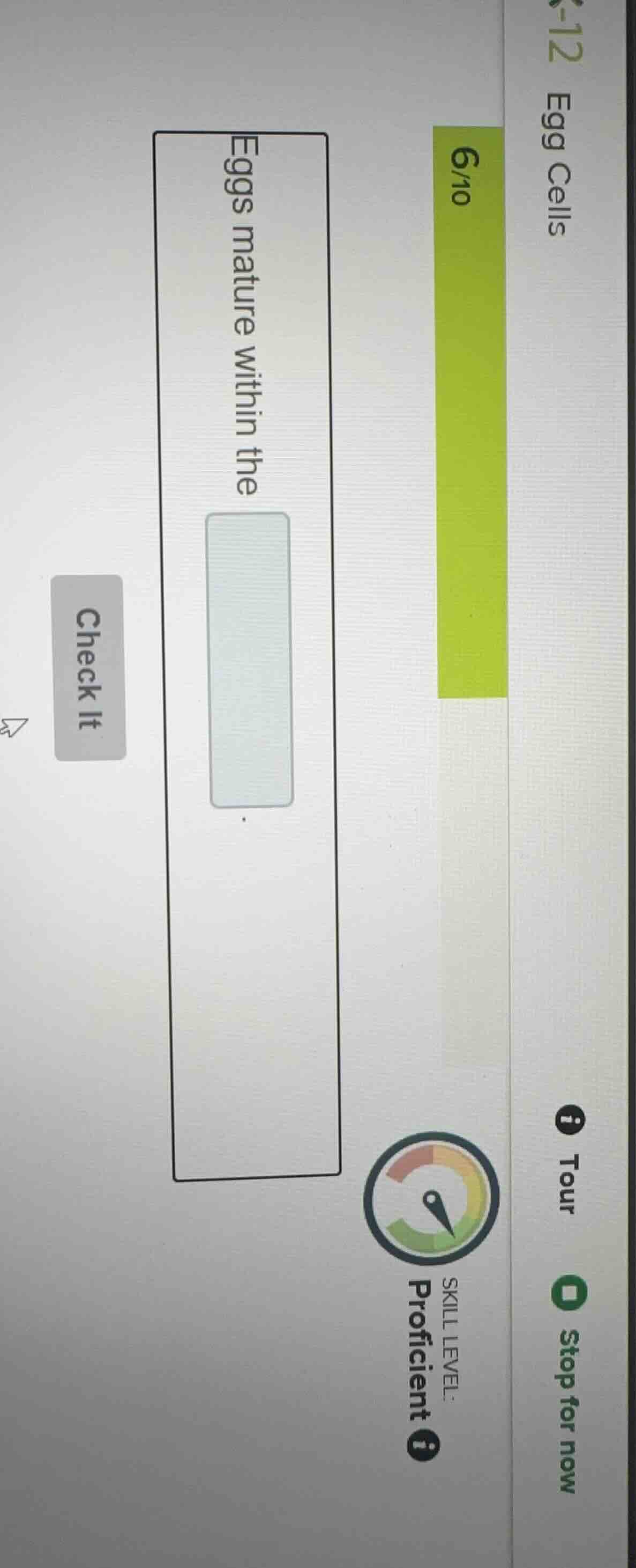 eggs mature within the