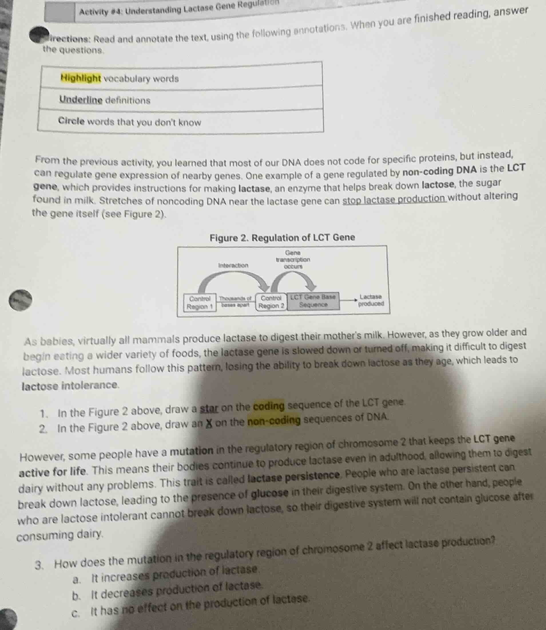 activity #4: understanding lactase gene regulation directions: read and…