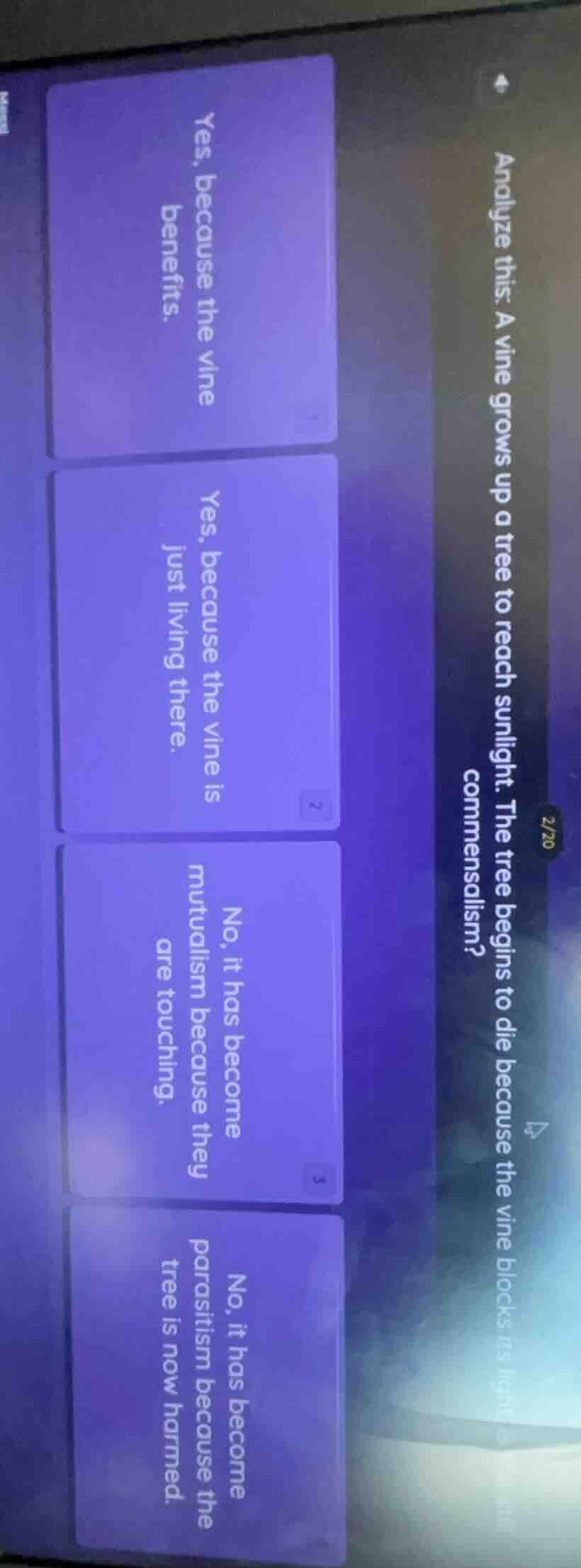 analyze this: a vine grows up a tree to reach sunlight. the tree begins…