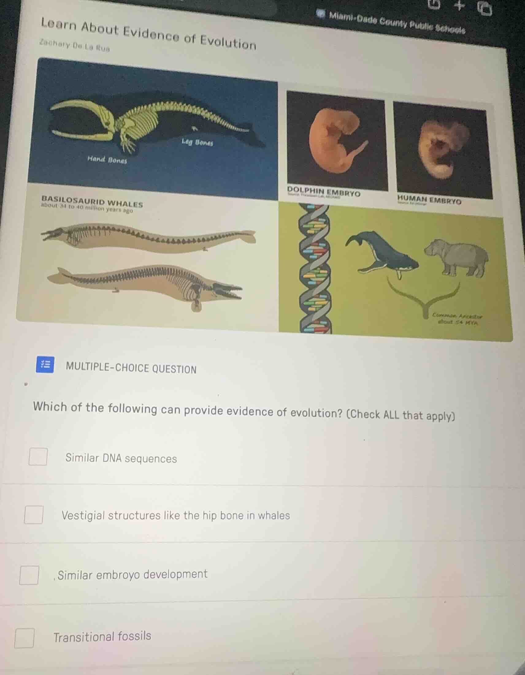 learn about evidence of evolution zachary de la rue multiple-choice que…