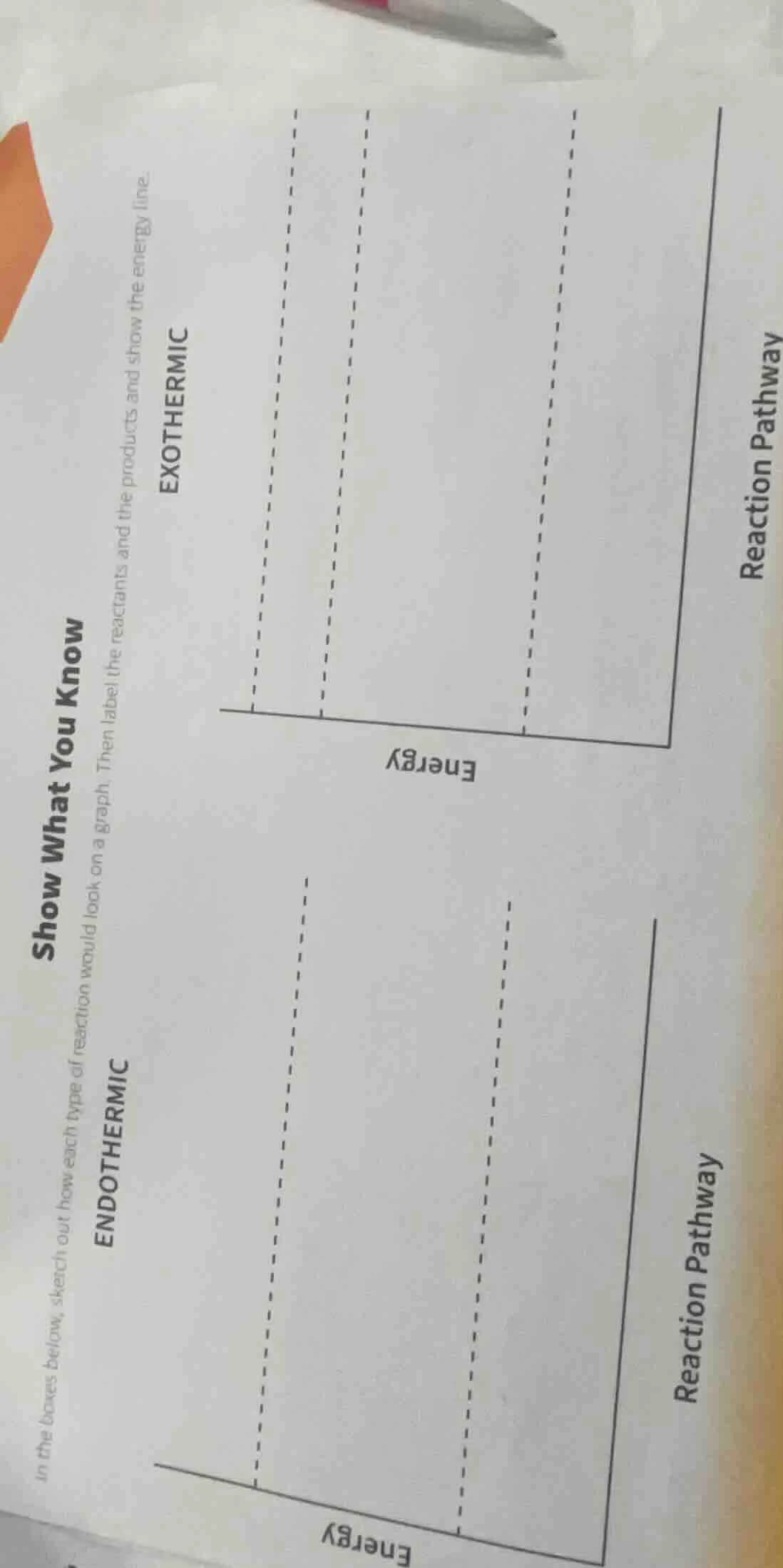 show what you know in the boxes below, sketch out how each type of reac…