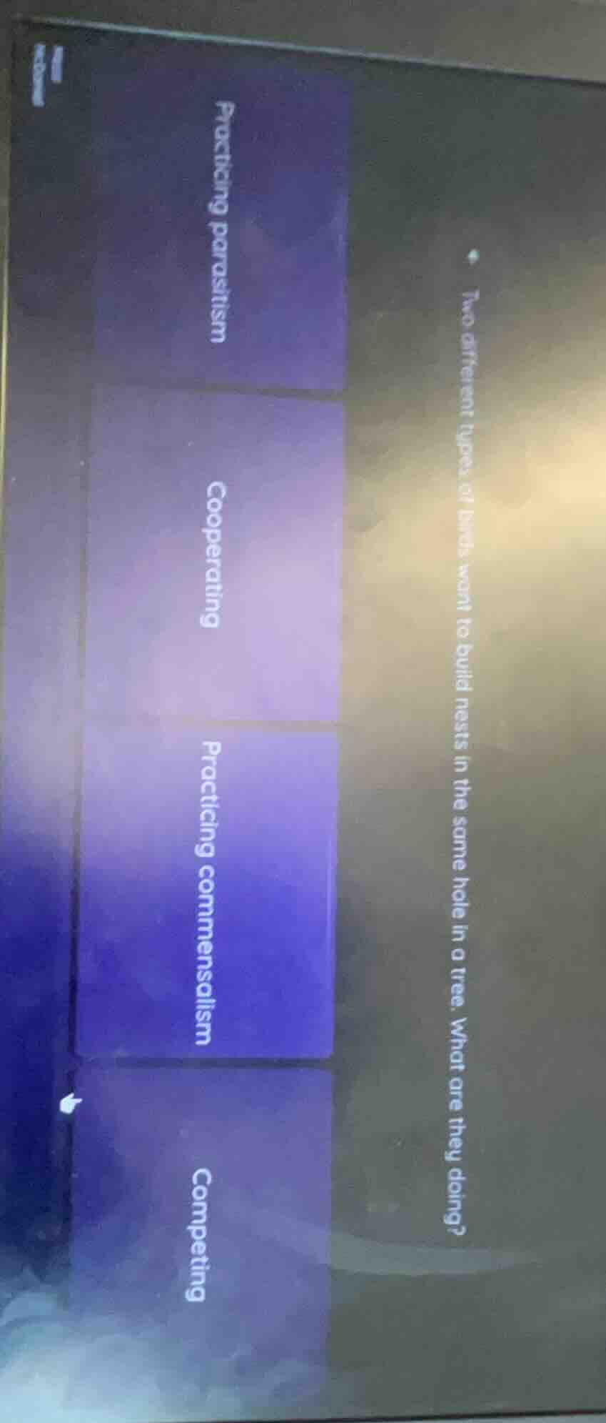 two different types of birds want to build nests in the same hole in a …