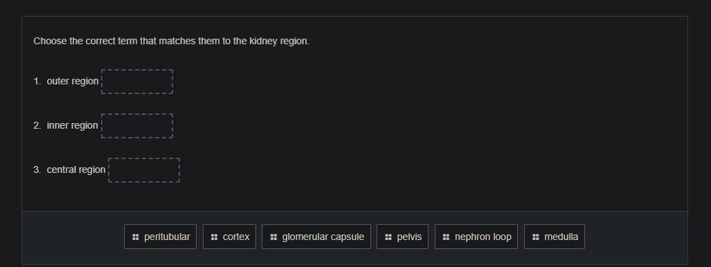 choose the correct term that matches them to the kidney region. 1. oute…