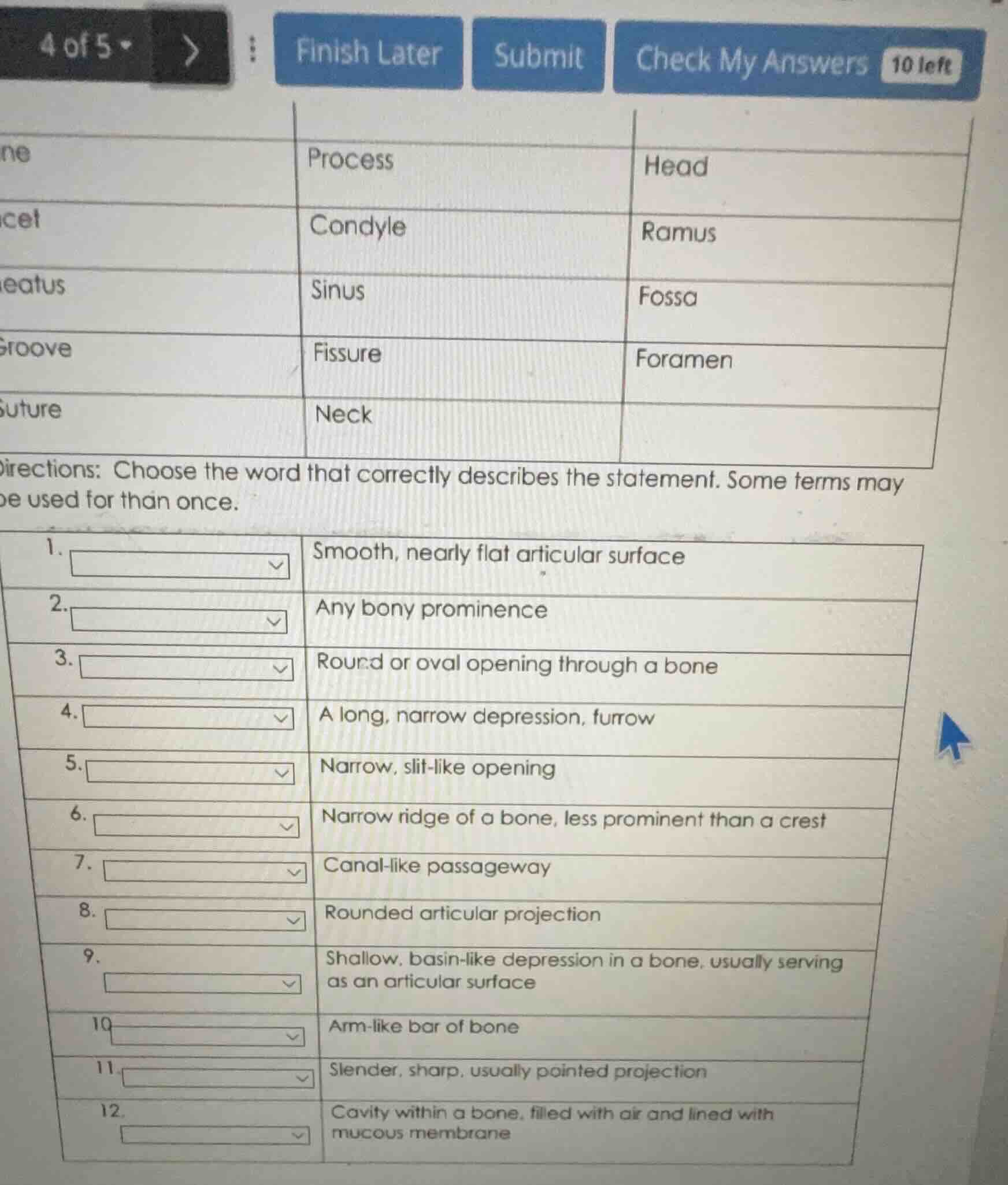 process head condyle ramus sinus fossa fissure foramen neck directions:…