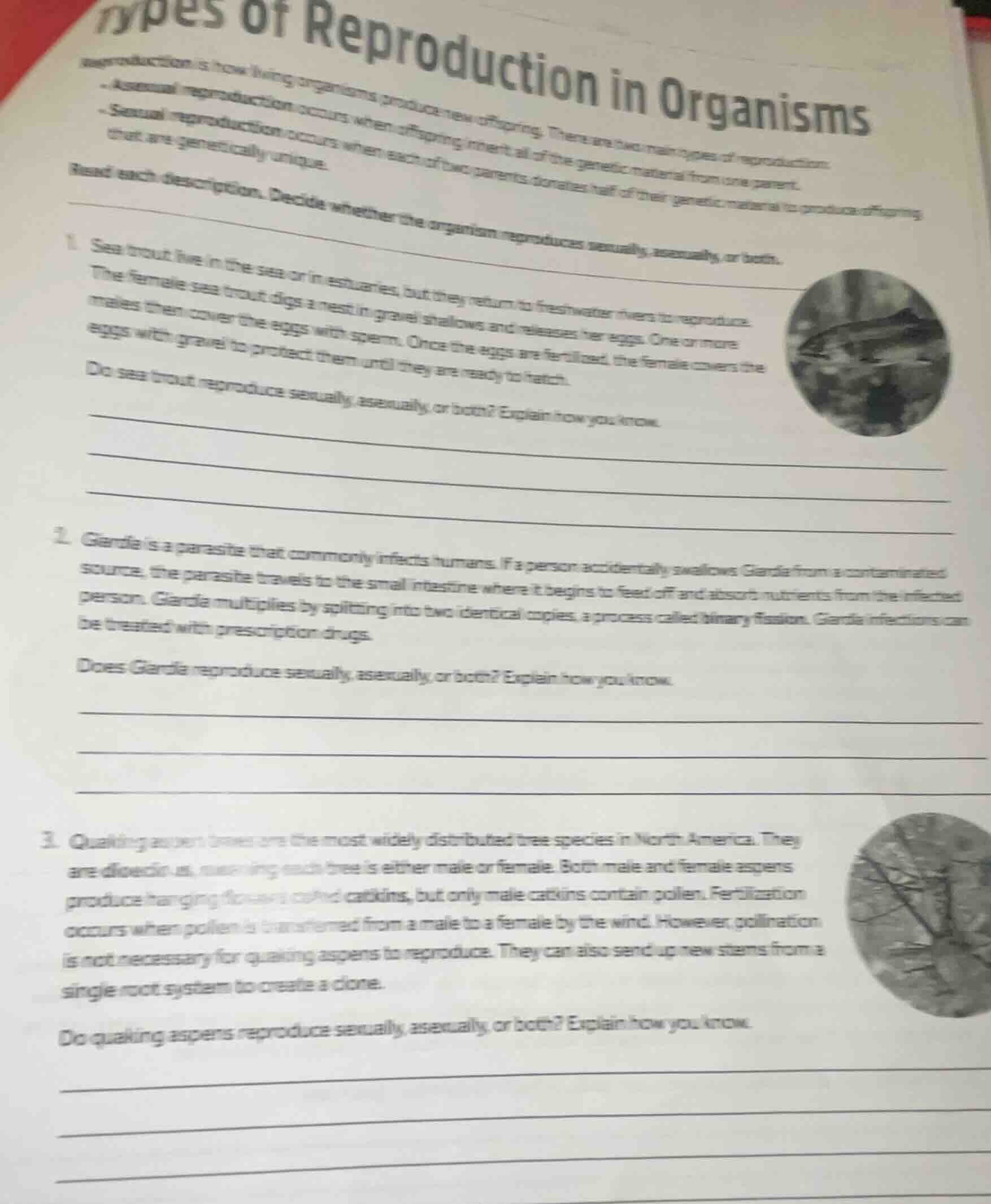 types of reproduction in organisms reproduction is how living organisms…