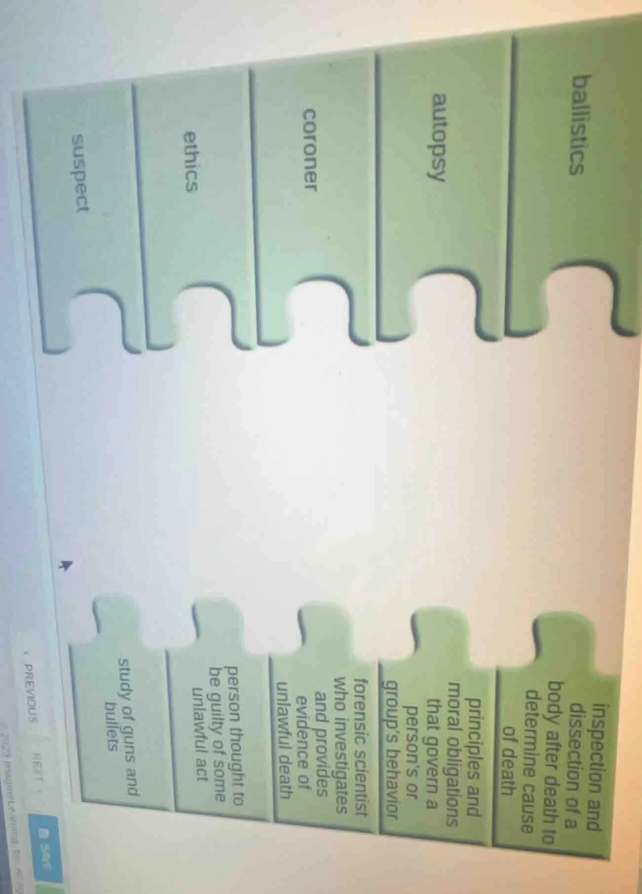 top labels: ballistics, autopsy, coroner, ethics, suspect bottom labels…