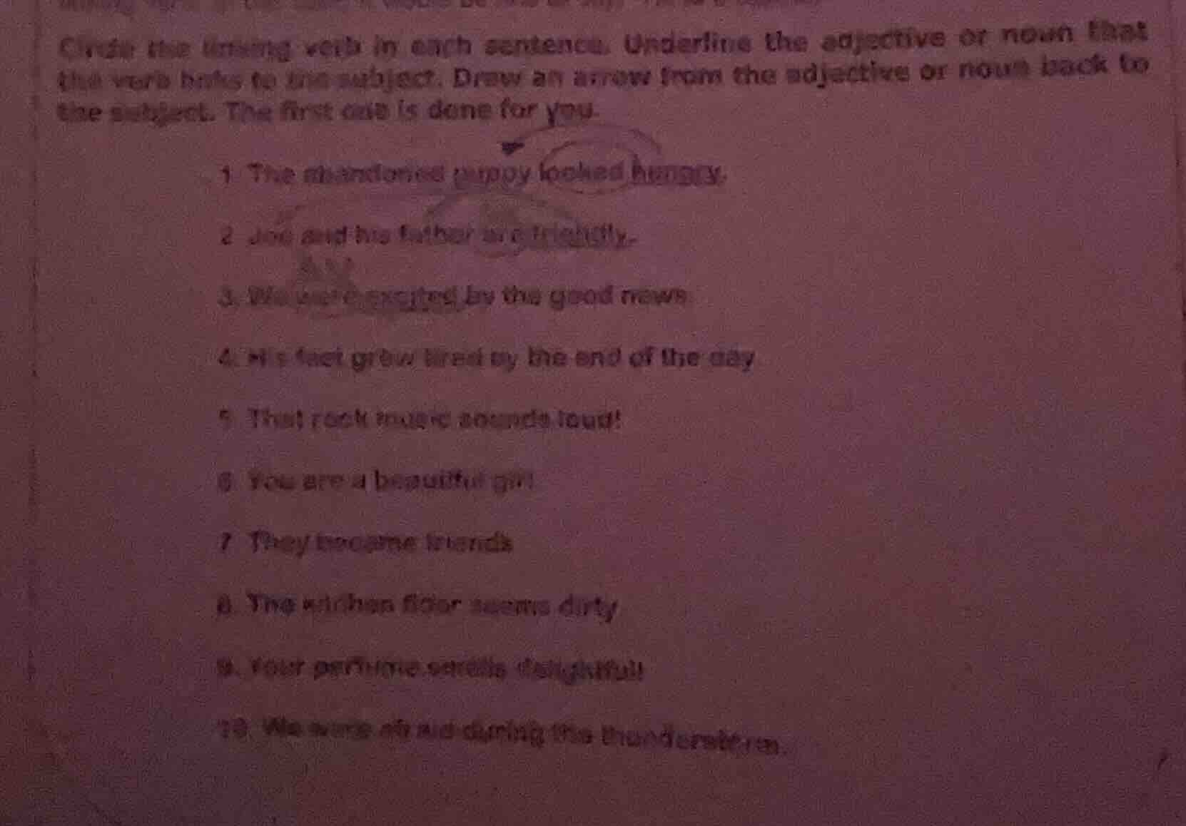 circle the linking verb in each sentence. underline the adjective or no…