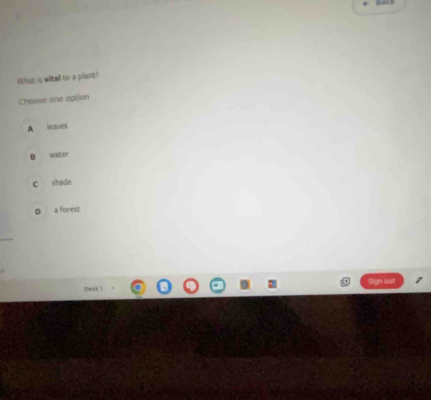 what is vital to a plant? choose one option a leaves b water c shade d …