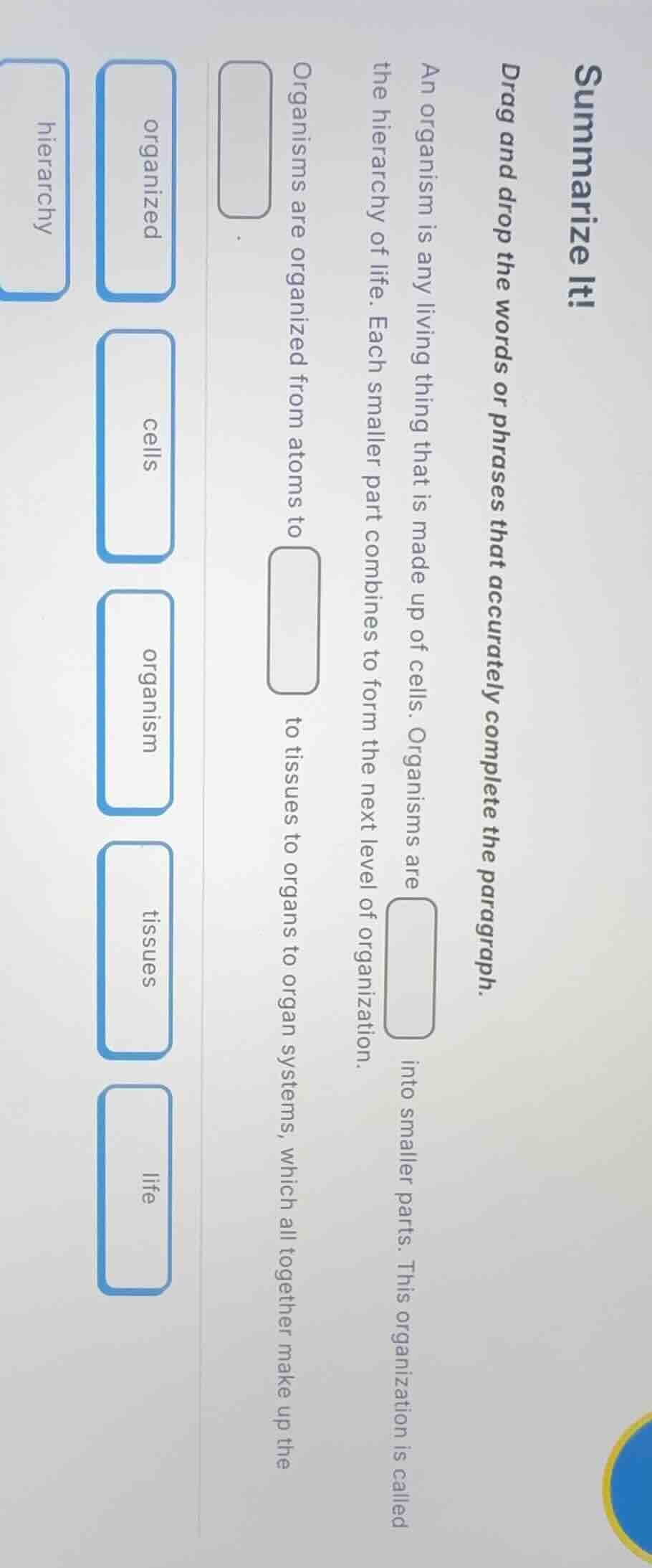 summarize it! drag and drop the words or phrases that accurately comple…