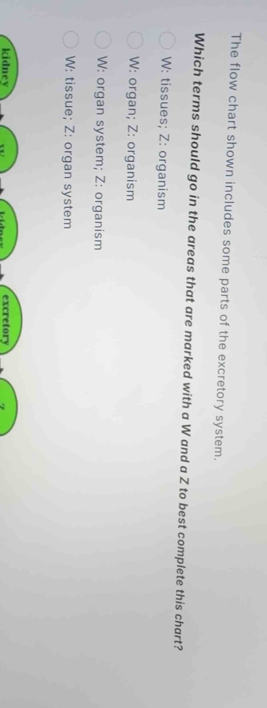 the flow chart shown includes some parts of the excretory system. which…