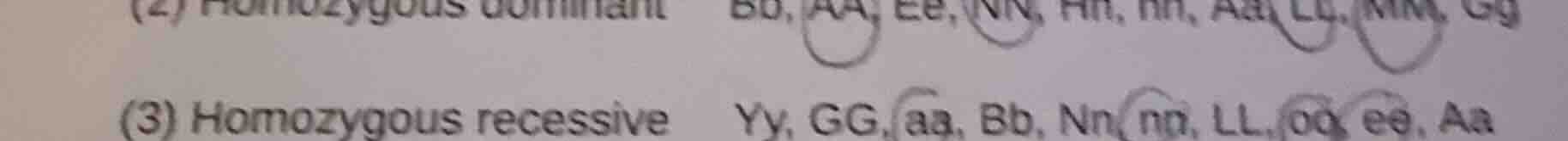 (2) homozygous dominant bb, aa, ee, nn, hh, hh, aa, ll, mm, gg (3) homo…