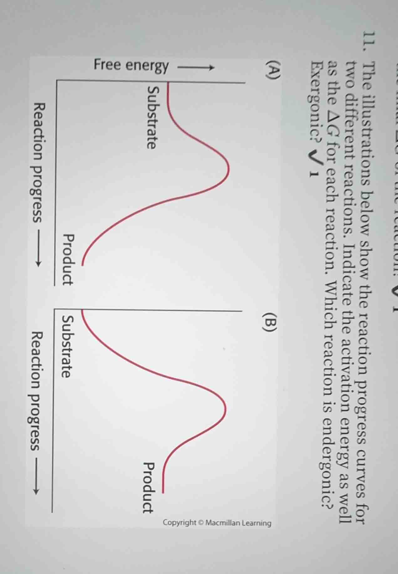 11. the illustrations below show the reaction progress curves for two d…