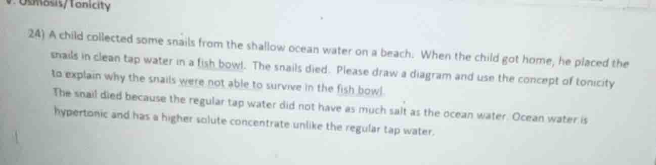 24) a child collected some snails from the shallow ocean water on a bea…