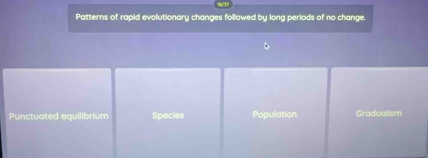 patterns of rapid evolutionary changes followed by long periods of no c…