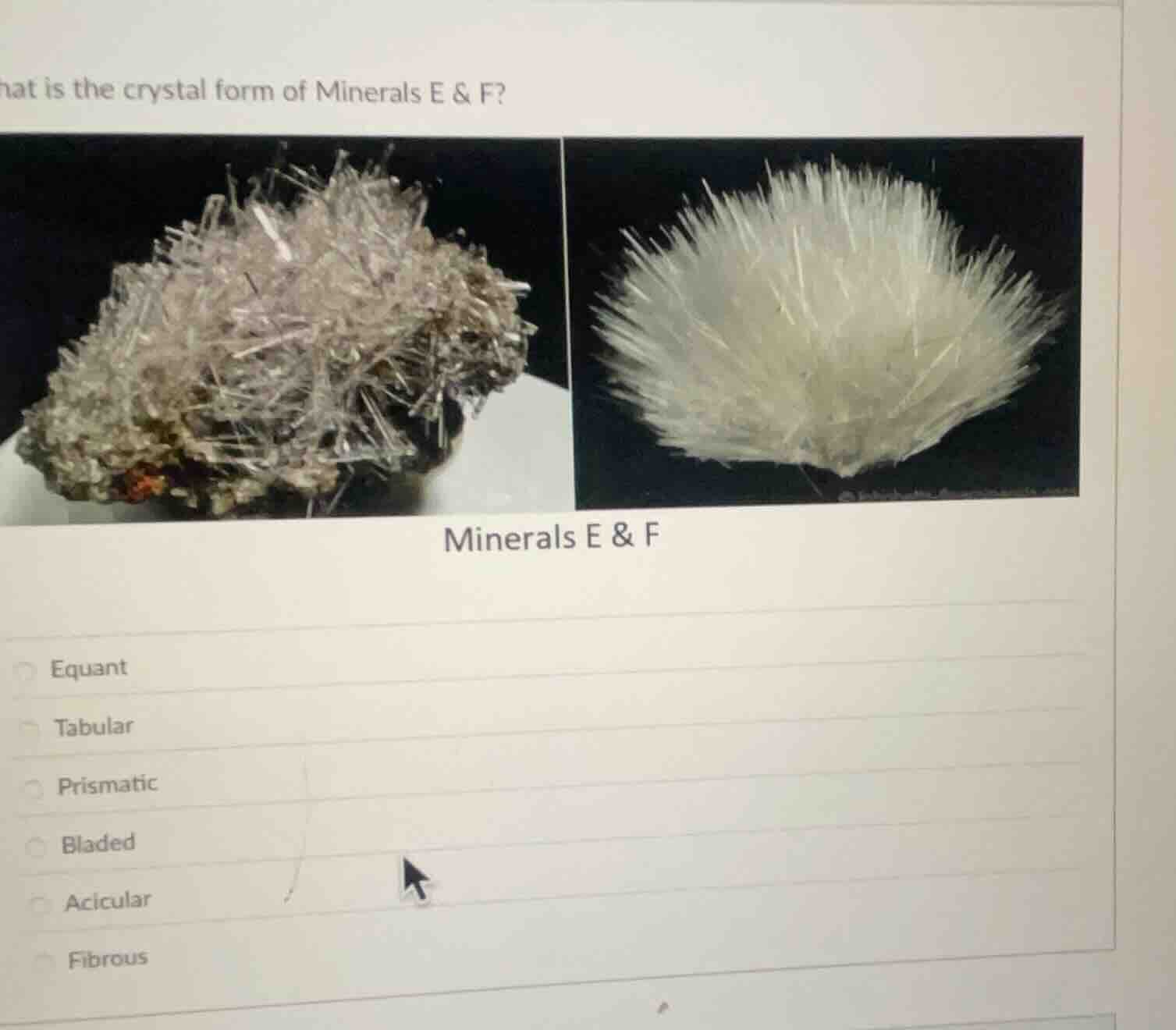 hat is the crystal form of minerals e & f? minerals e & f options: equa…
