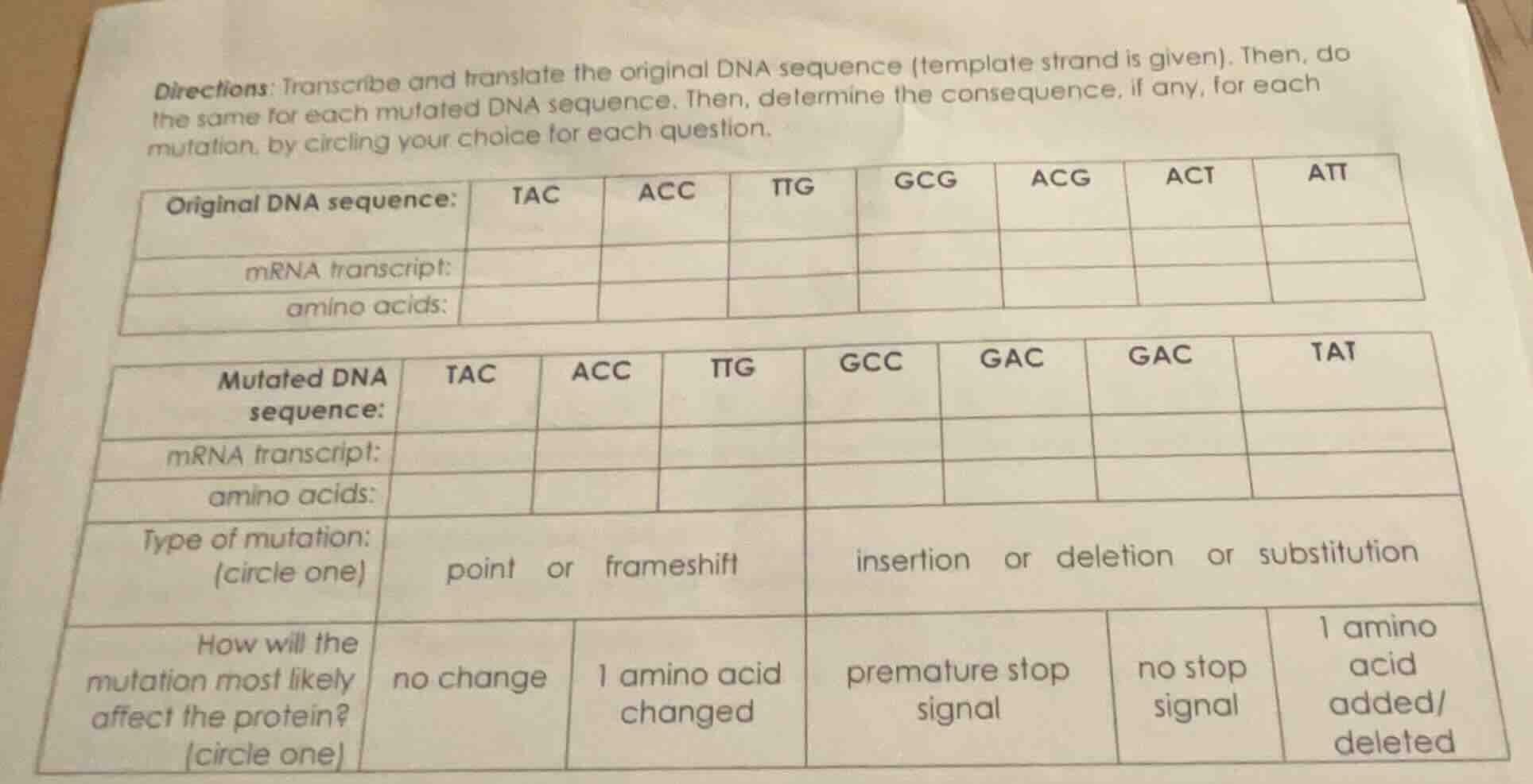 directions: transcribe and translate the original dna sequence (templat…