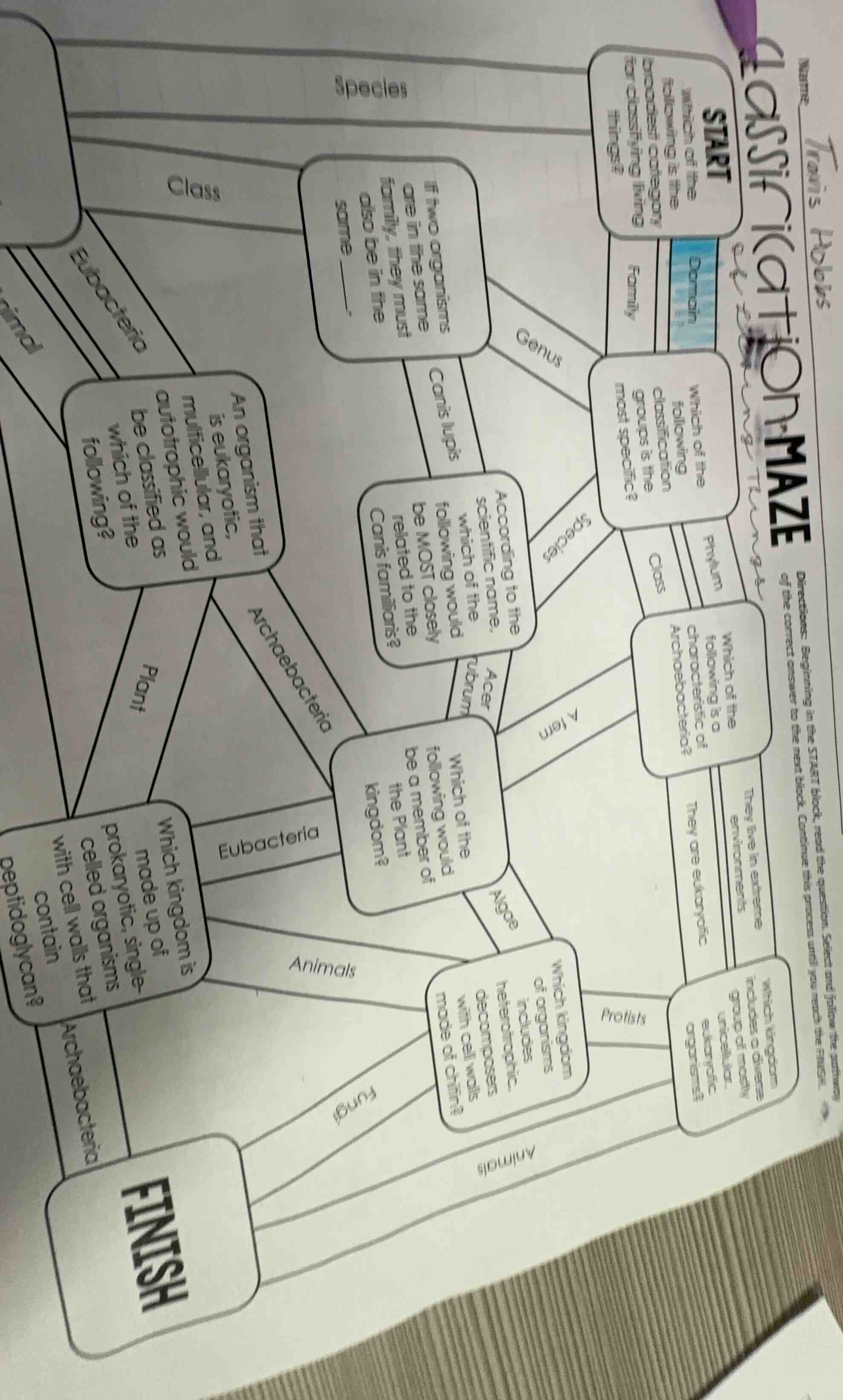 name: travis hobbs classification maze directions: beginning in the sta…