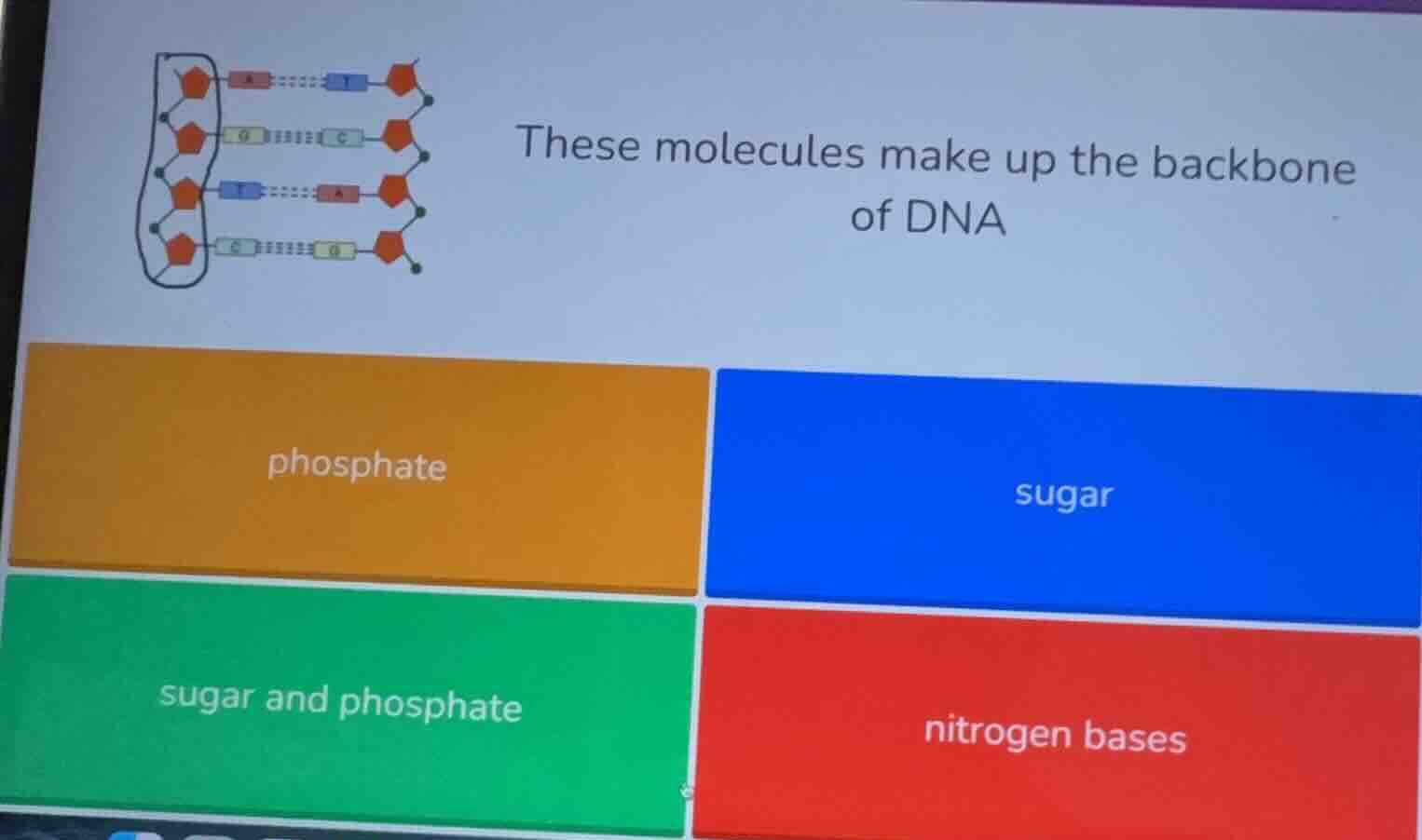 these molecules make up the backbone of dna options: phosphate, sugar, …